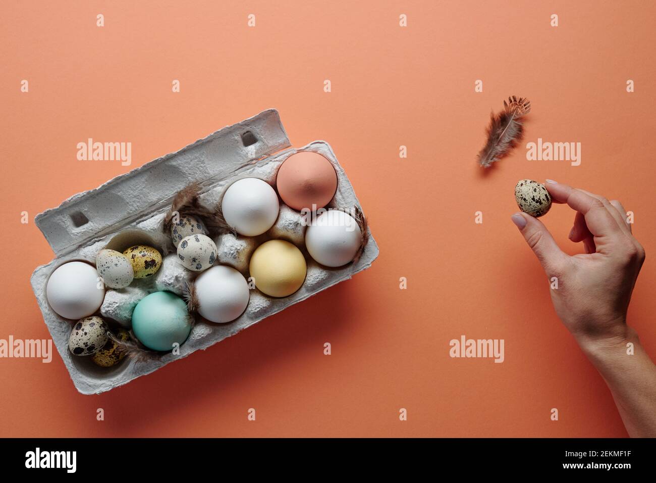 Close-up of chicken and quail eggs in the box painted for Easter holiday Stock Photo