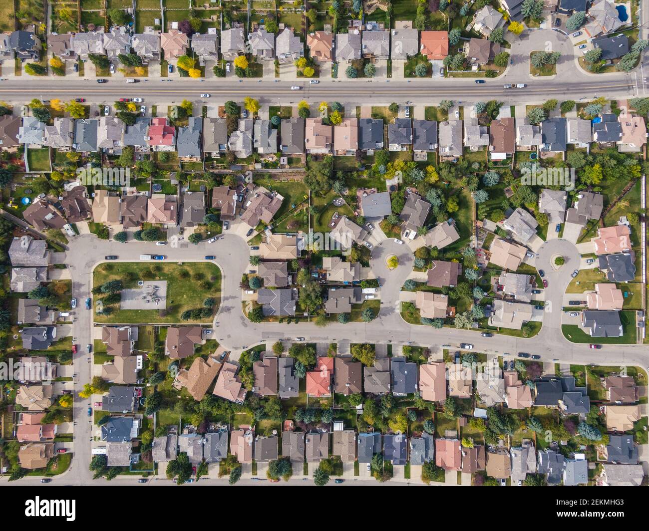 Aerial top down view of houses and streets in residential neighbourhood during fall season in Calgary, Alberta, Canada. Stock Photo