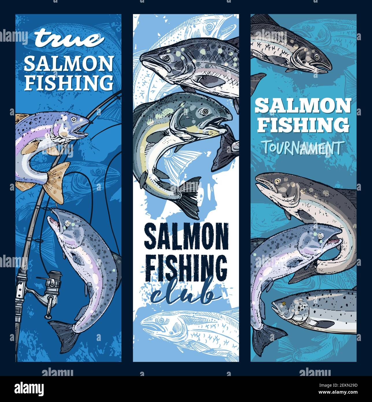 Salmon fishing, sport club or tournament. Vector fishery gear
