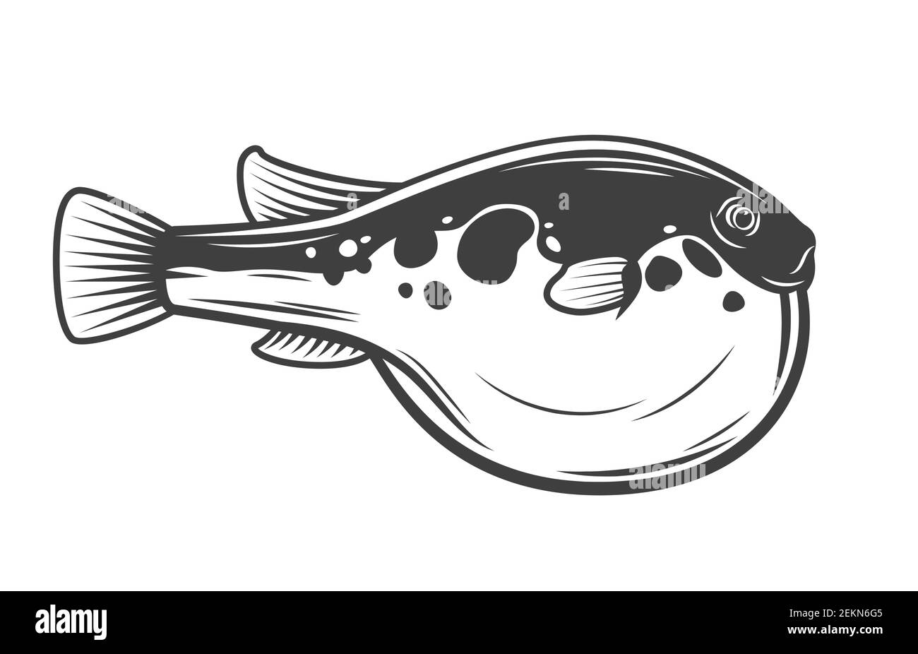 Japanese Fugu fish, isolated pufferfish. Vector poisonous fish with puffed stomach, exotic toxic marine animal. Seaweed, Japanese cuisine delicacy, bo Stock Vector