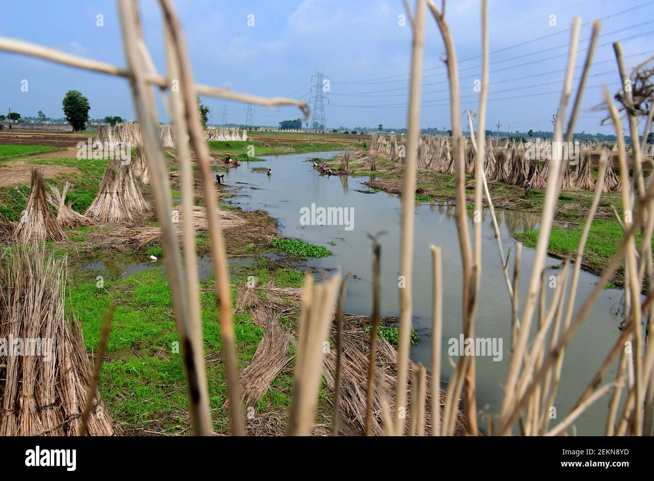 Jute Industry is one of the oldest industries in West Bengal. Nearly 40