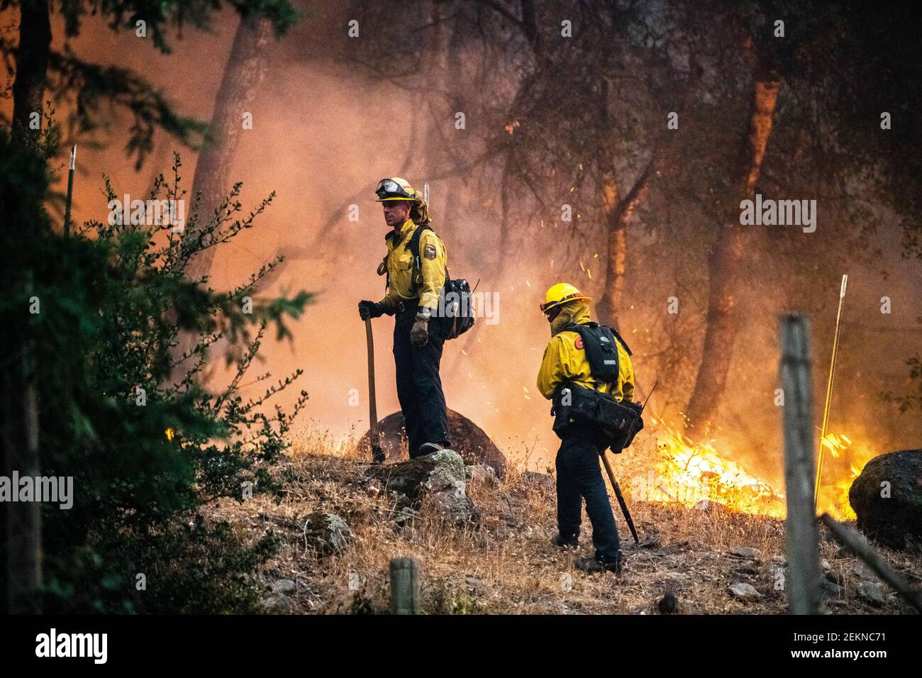 SANTA ROSA, CA - SEPTEMBER 28: Firefighters fight to contain the flames ...