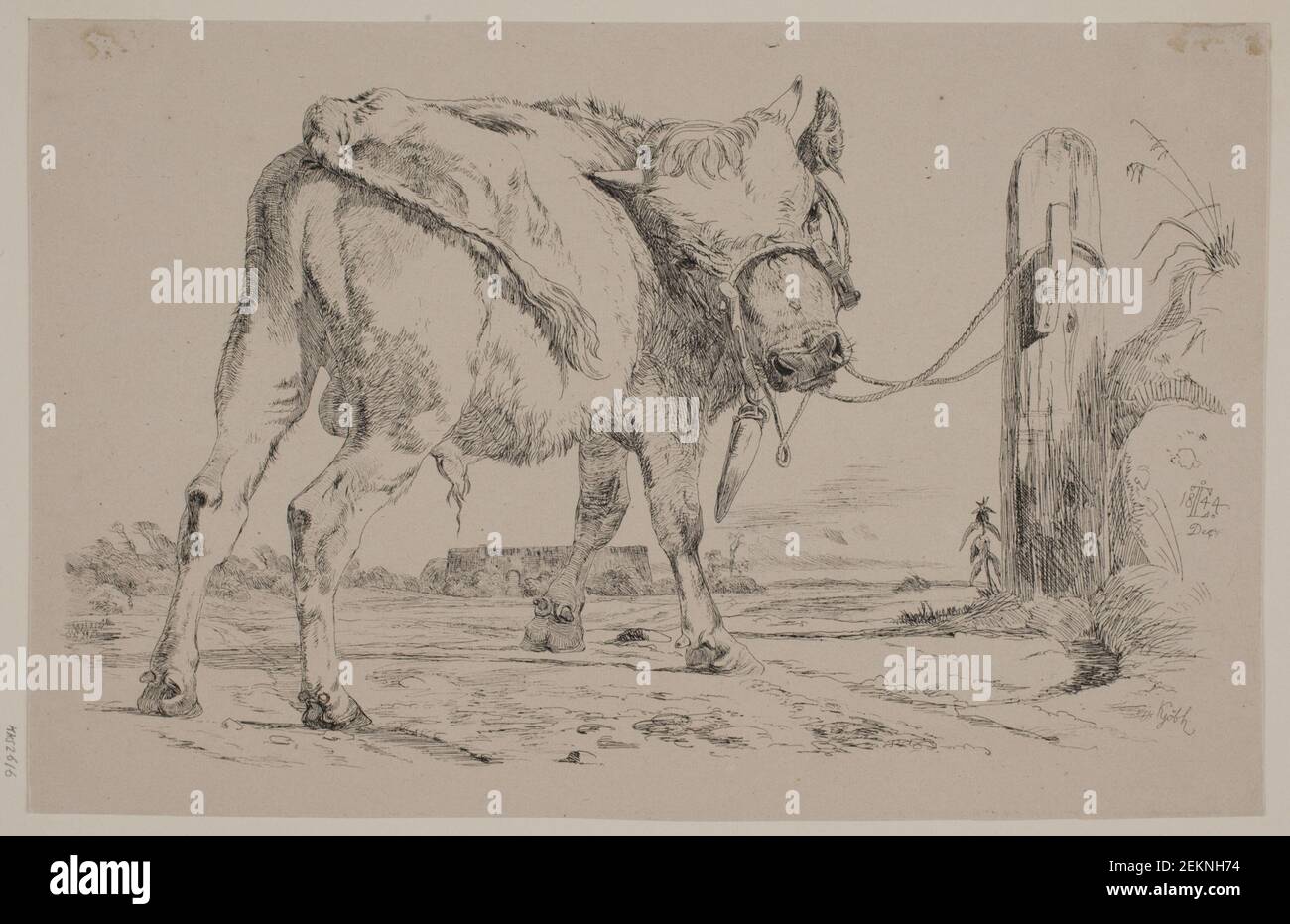 Johan Thomas Lundbye (1818-1848), a bull calf bound to a joint post, 1844 Stock Photo