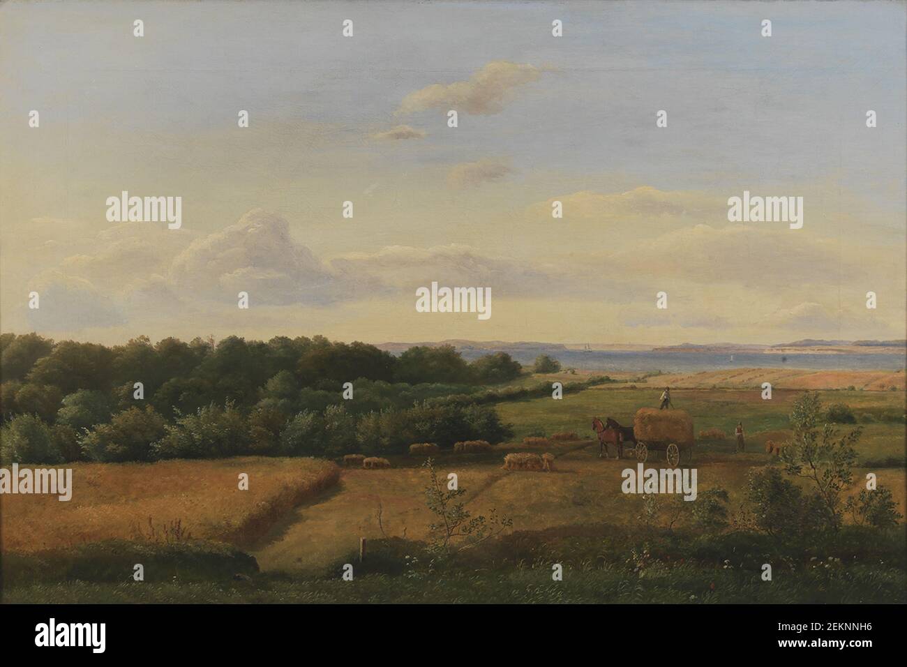 Dankvart Dreyer (1816-1852), harvesting landscape with views of Wedellborg Hoved, 1846 Stock Photo