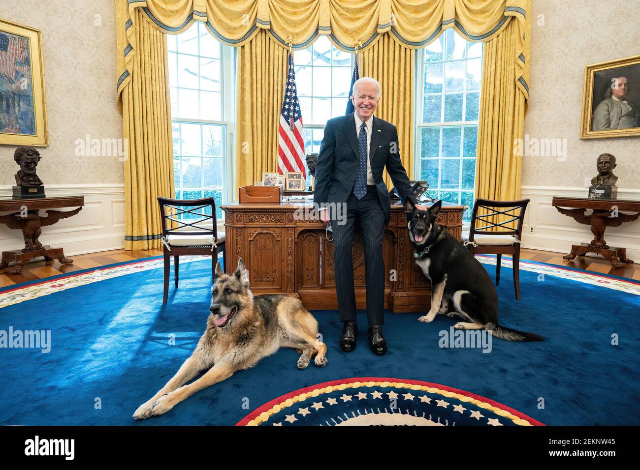 President Joe Biden poses with the Biden family dogs Champ and Major Tuesday, Feb. 9, 2021, in the Oval Office of the White House. (Official White House Photo by Adam Schultz) Stock Photo