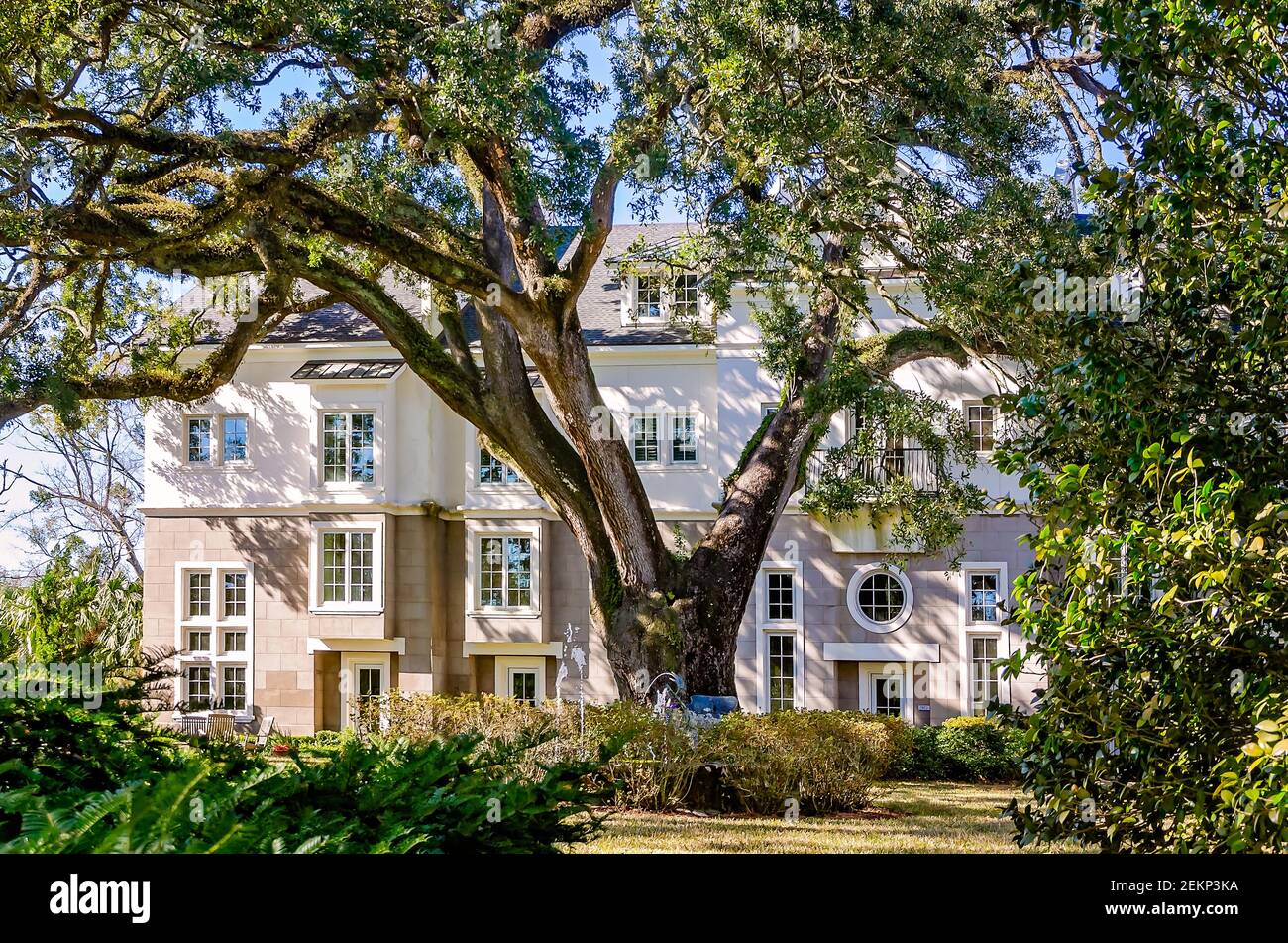 Luxury condominiums are pictured on Government Street in the Oakleigh Garden Historic District