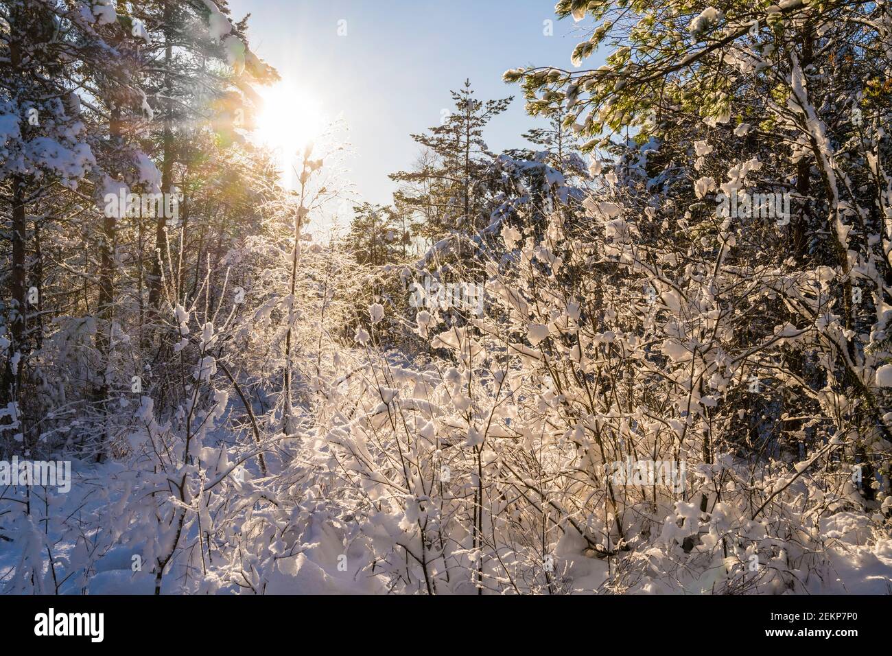 Winter in Bergen, Norway. Stock Photo