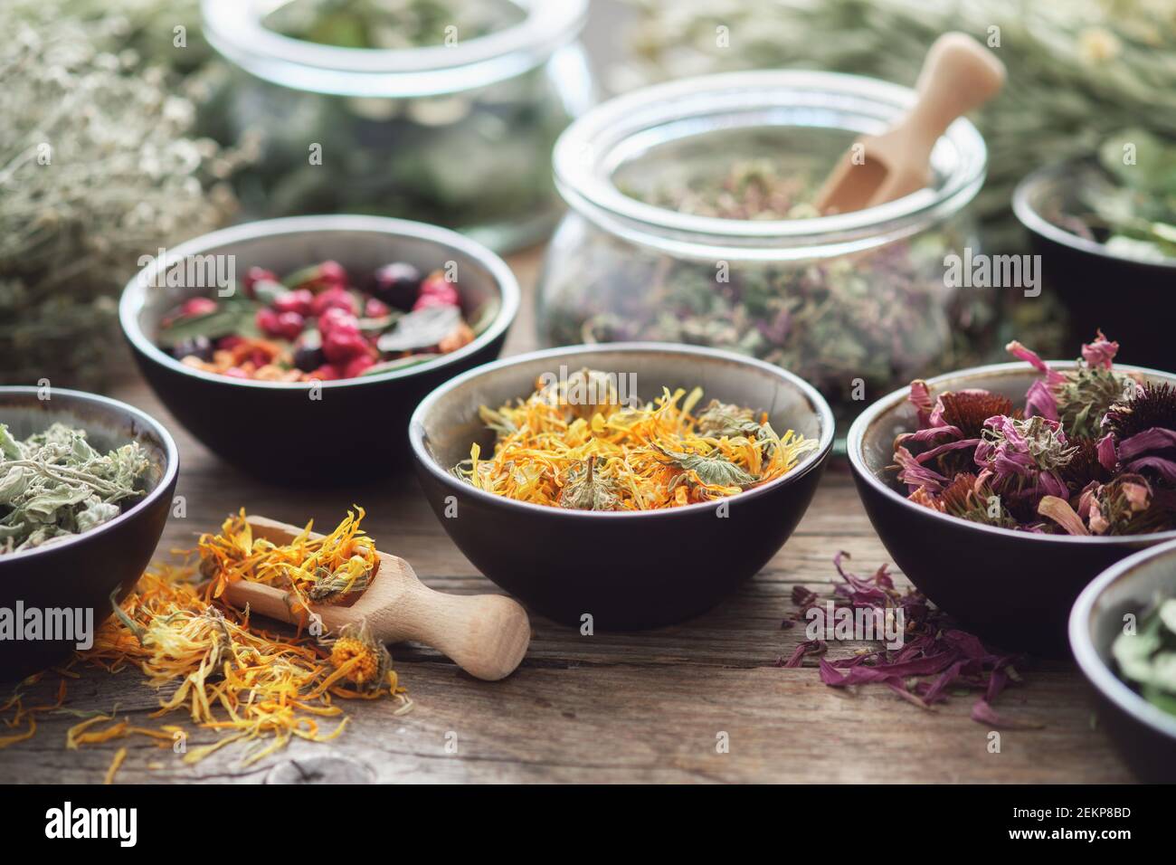 Table of herbs hi-res stock photography and images - Alamy