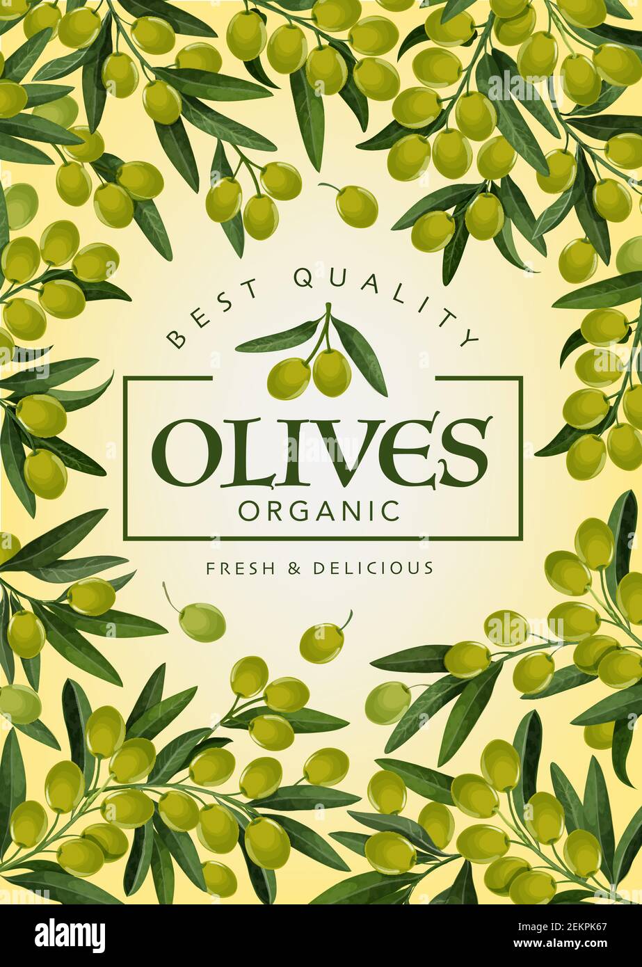 Olives frame, delicious green tree branches. Vector vegetarian food