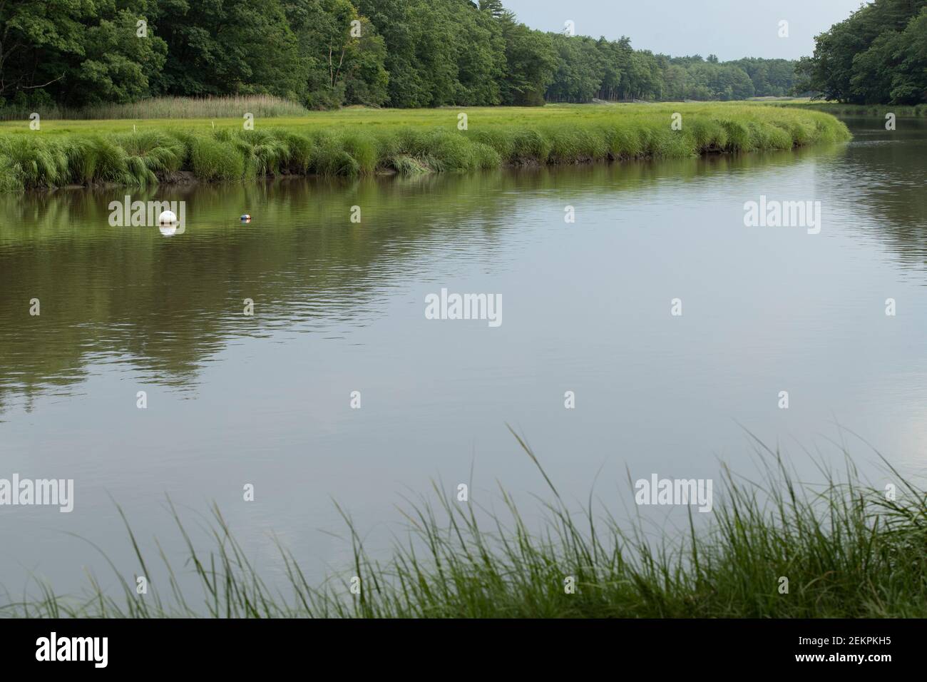 Formed by confluence of Salmon Falls and Cochero Rivers, the Piscataqua