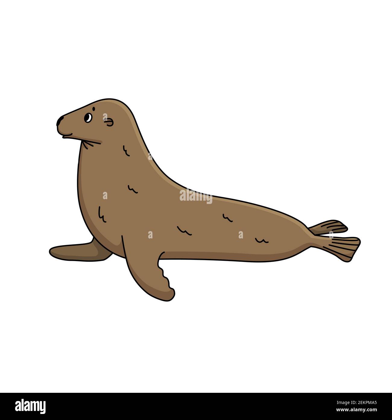 Vector outline cartoon illustration of cute brown fur Seal. Single doodle  isolated animal on white background. Side view Stock Vector Image & Art -  Alamy