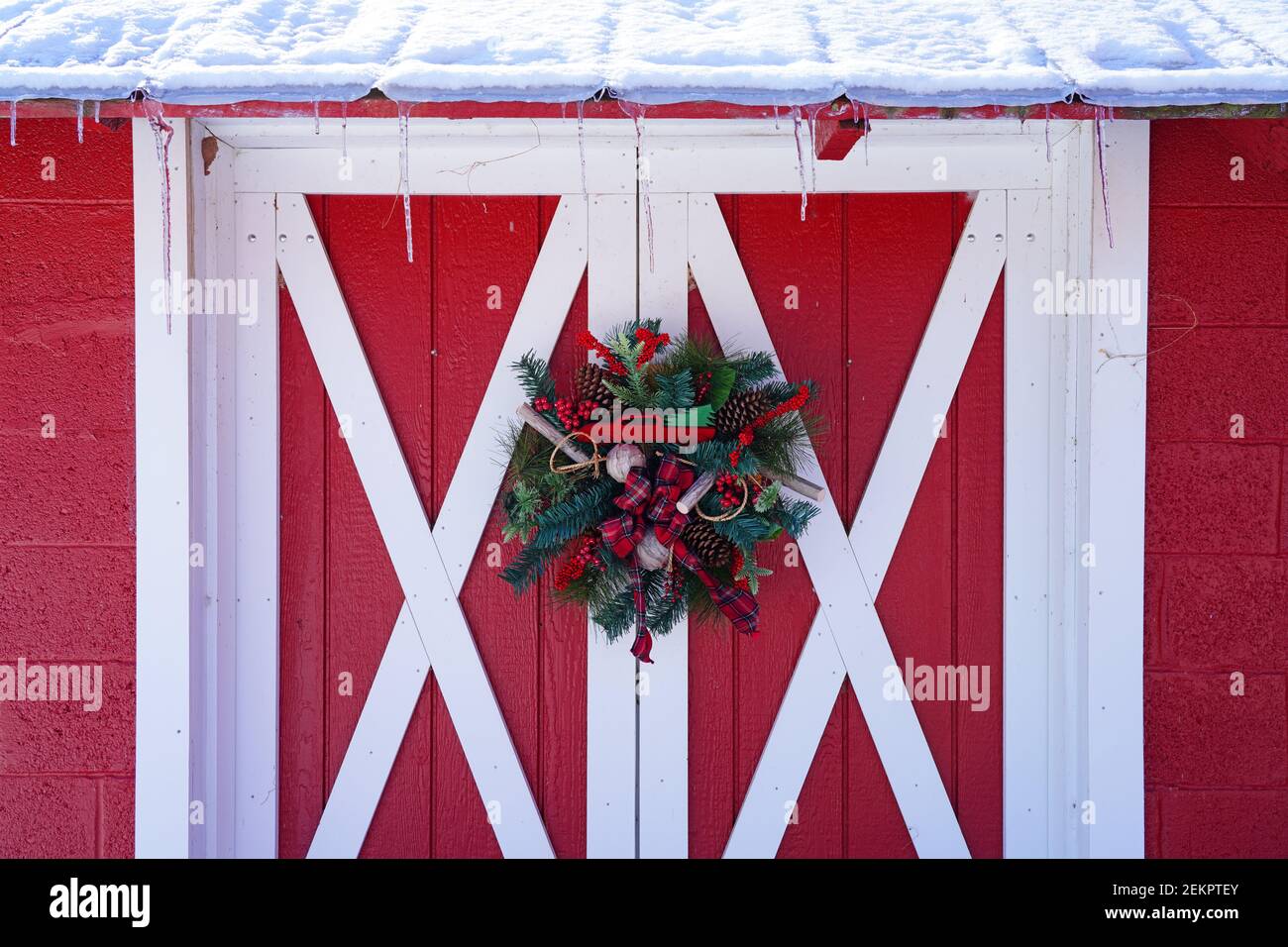 Christmas holiday pine wreath with pinecones and red bow on a red door ...