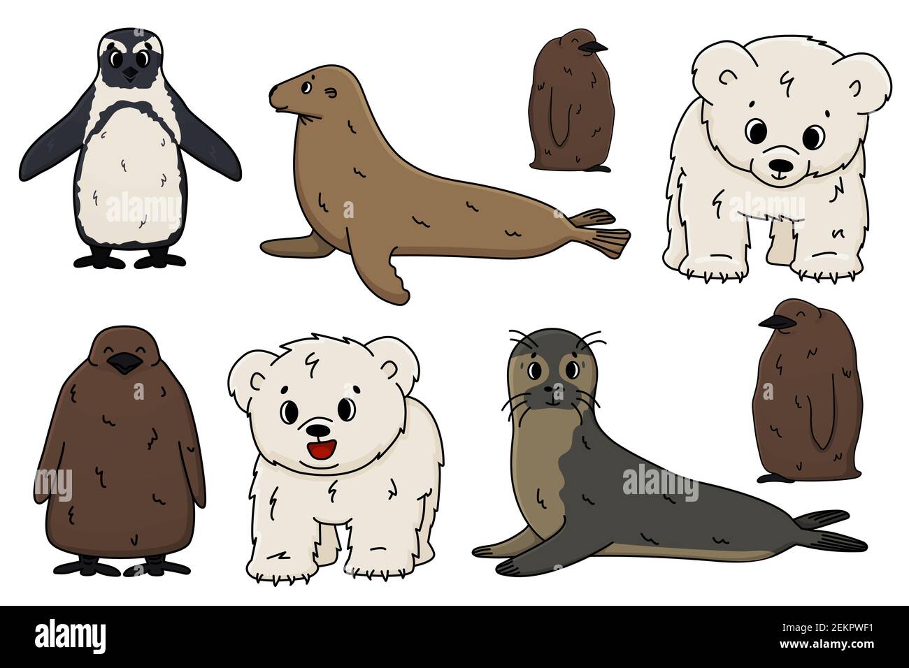 Vector Penguin, king penguin chick, fur seal, polar bear cub, small Common seal. Set of isolated small cartoon outline cute sea and ocean animals for Stock Vector