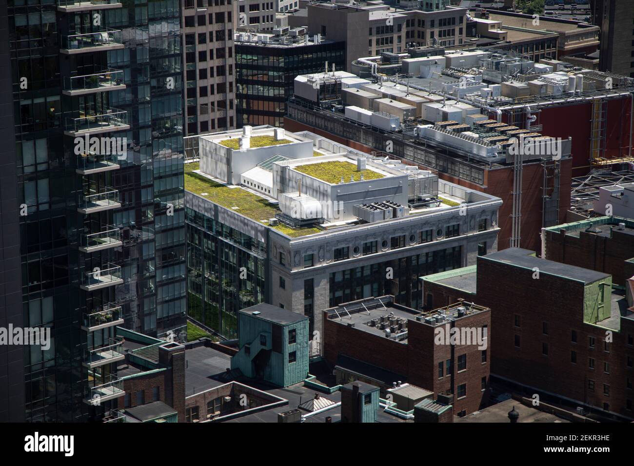 An aerial view of a green rooftop terrace in an urban environment Boston Massachusetts Stock Photo