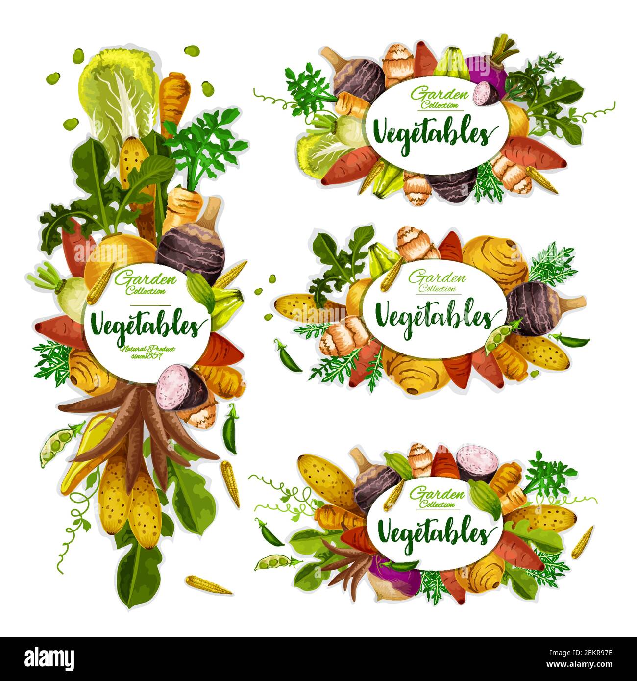 Vegetables frames of exotic veggies. Vector rutabaga and artichoke, sweet potato and cassava, cyclanthera and jicama. Taproots, beans and tubers, radi Stock Vector