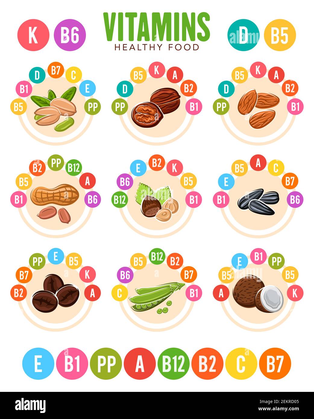 Vitamins in nuts, beans and seeds vector charts, super food design. Almond, pistachio and peanut