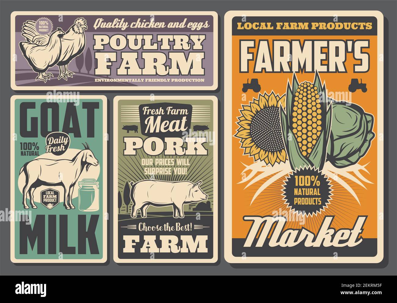 Farm animals and vegetables retro posters of agriculture, milk, poultry and crop farming vector design. Pig, cow and rooster, chicken, goat and tracto Stock Vector