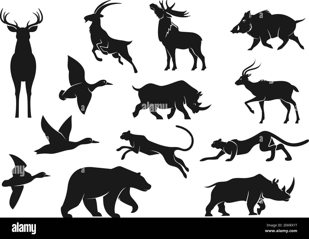 Wild animals and birds isolated vector silhouettes. Deer with antlers and  cheetah, boar and mountain goat, panther and grizzly bear, rhinoceros and  el Stock Vector Image & Art - Alamy