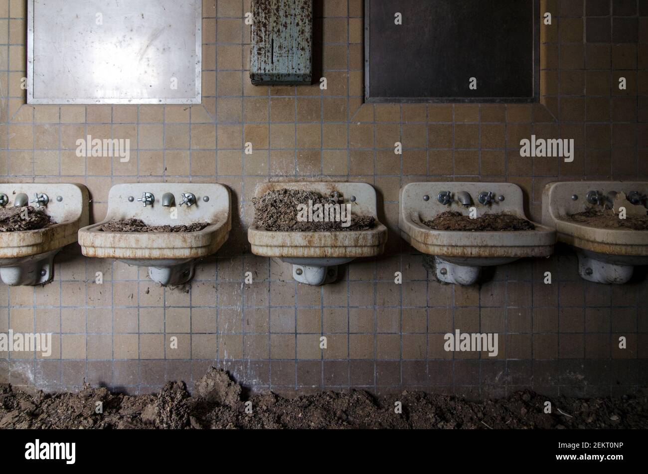 Interior of an abandoned decaying mental hospital Stock Photo Alamy