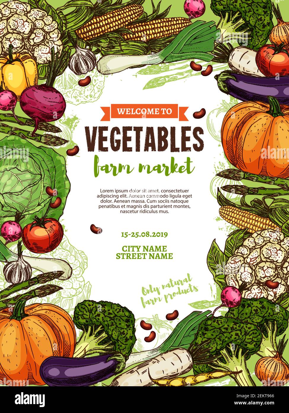 Vegetables of farm food market. Vector poster with frame of tomato ...
