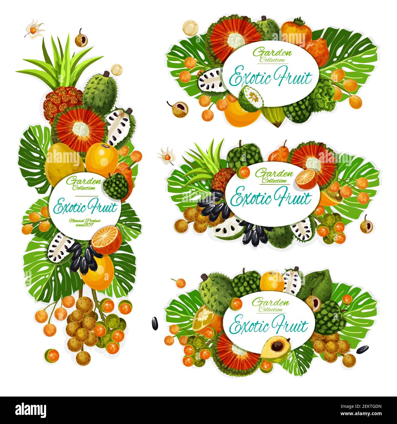 Tropical fruits farm market, pandanus, bergamot and longkong, tangerine