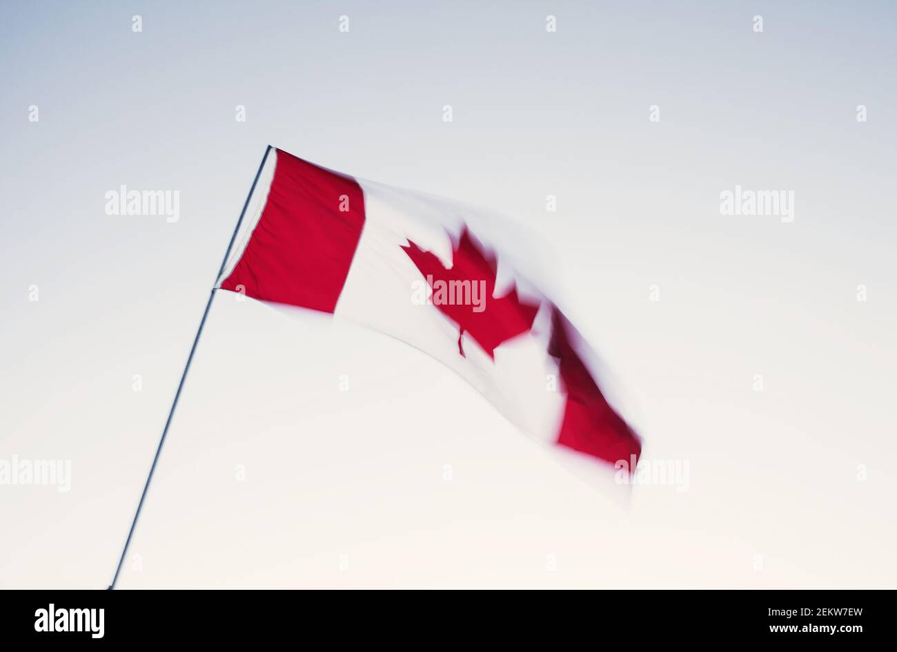 Canadian flag blowing in the wind. Stock Photo