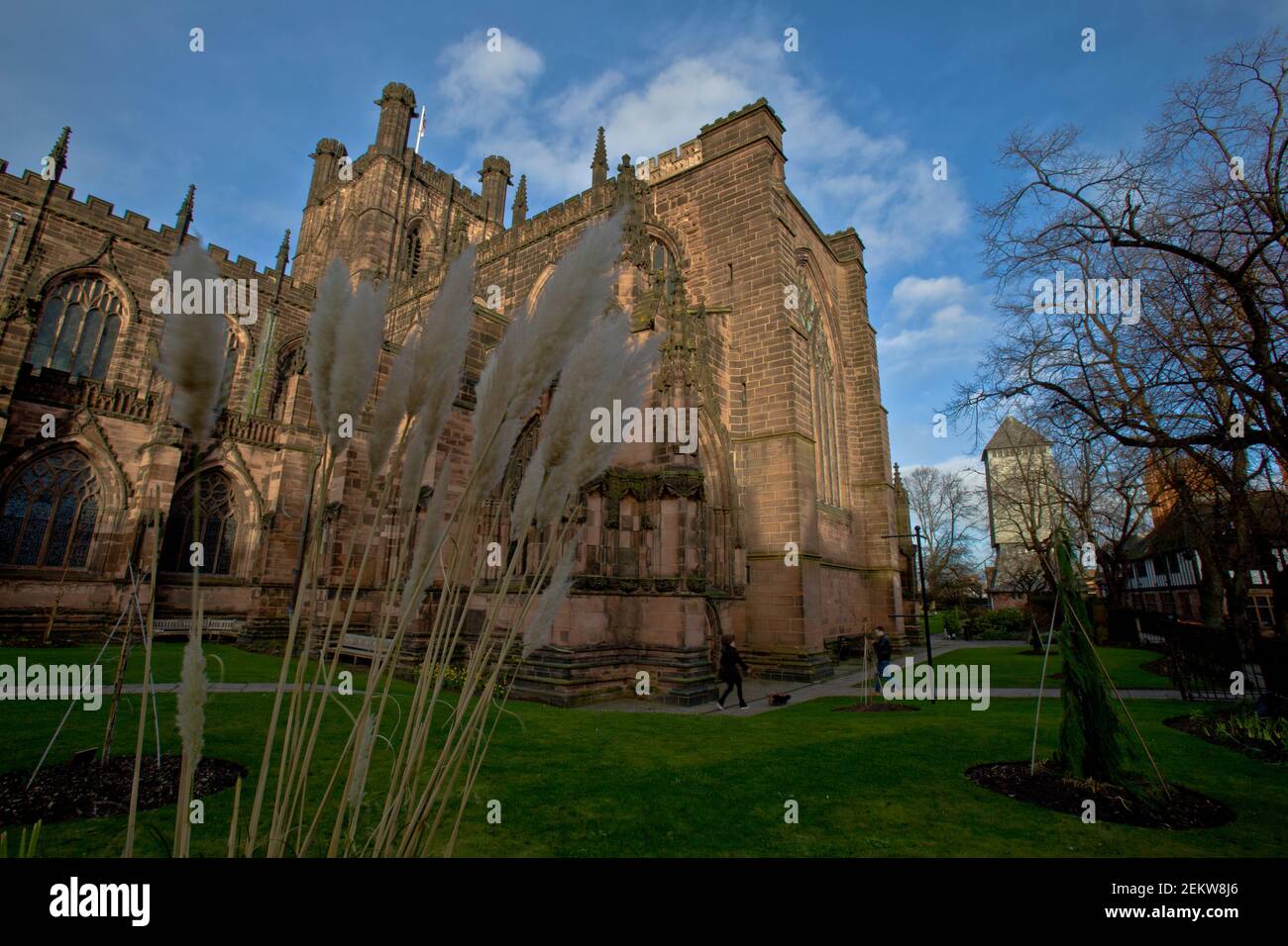 Chester Cathedral,architectural,buildings,medieval,wood beams,timber frames,stone,handmade,workmanship,antique,ancient, Caer Stock Photo