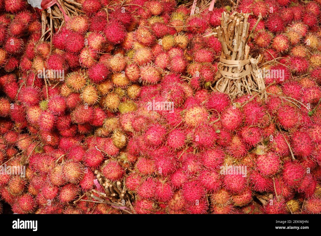 Rambutan skin texture in traditional fruit markets. a fresh red rind pattern with a tied stalk. Rambutan is a tropical plant belonging to the Sapindac Stock Photo