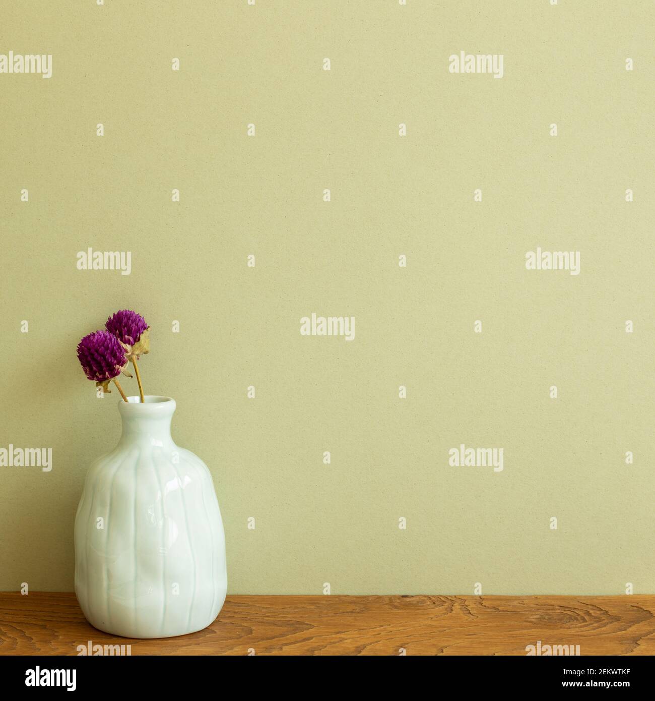Vase of purple globe amaranth flowers on wooden table. khaki green background. copy space Stock Photo
