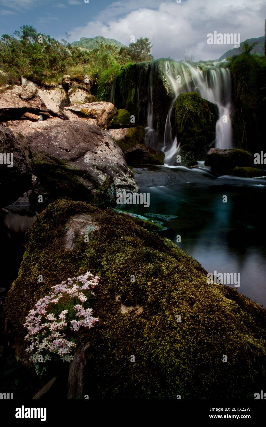 extended waterfall on a hillside, canyon, hiking, nature, running water, rocks, grasses, mountain walking, rural, outback, pond, wildflowers, flowers Stock Photo