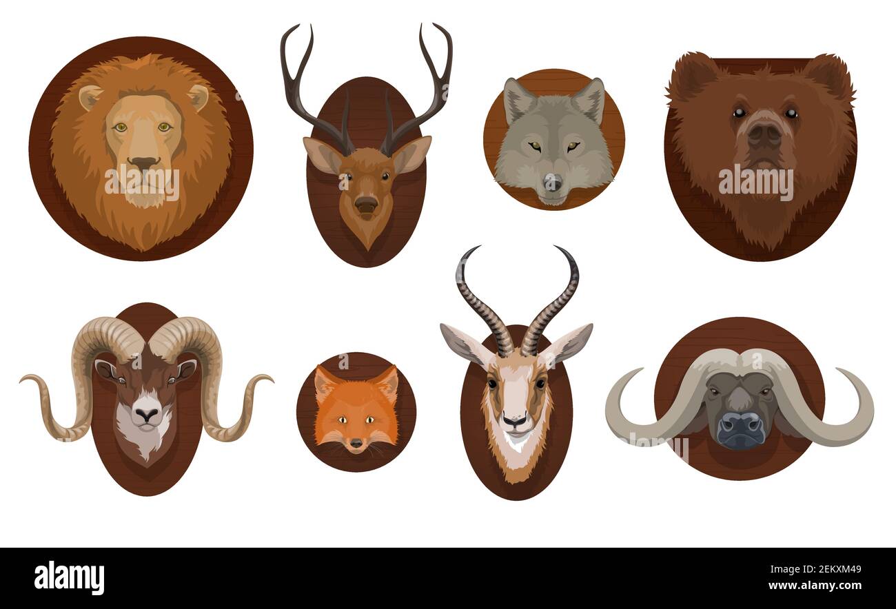 Hunting trophies, wild animal head mount. Lion, wolf and grizzly bear,  forest deer, mountain ram and african gazelle with horns, fox, cape buffalo  hea Stock Vector Image & Art - Alamy