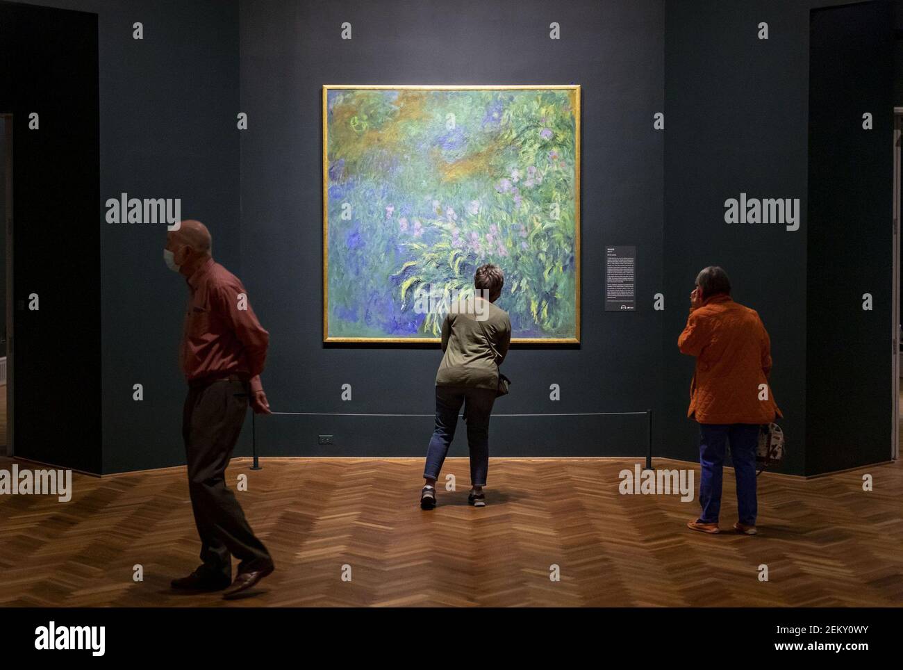 People view paintings of water lillies in the new exhibit 