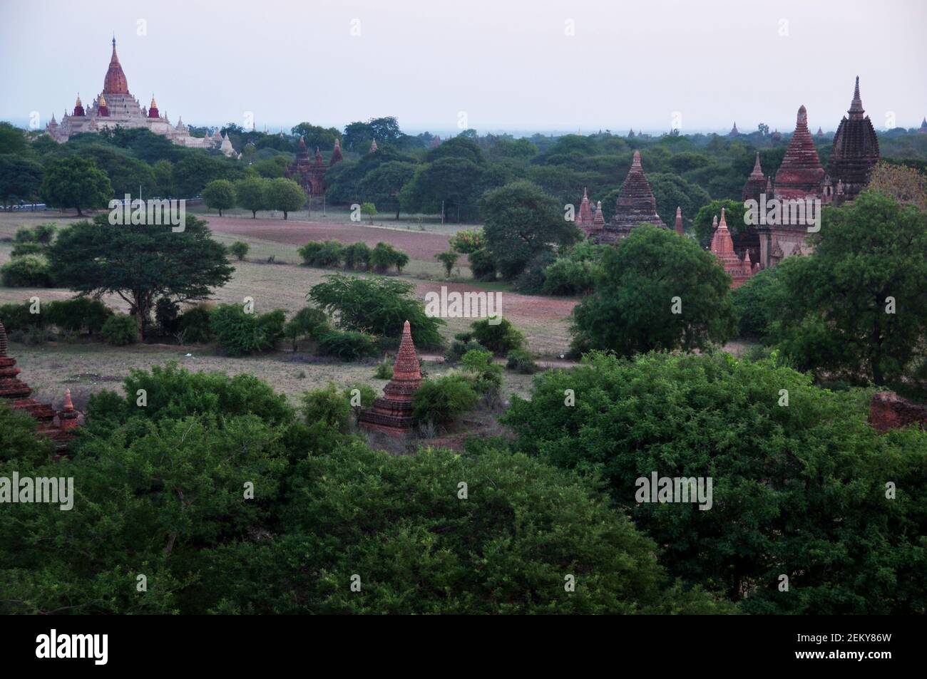 View landscape ruins cityscape World Heritage Site with over 2000 pagodas and Htilominlo temples look from Shwesandaw Paya Pagoda in morning time at B Stock Photo