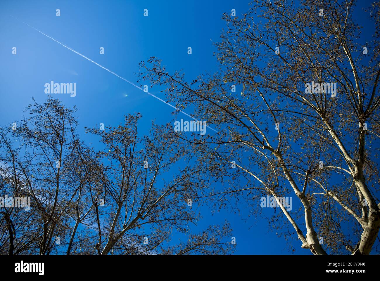 Airplane wing many clouds hi-res stock photography and images - Alamy
