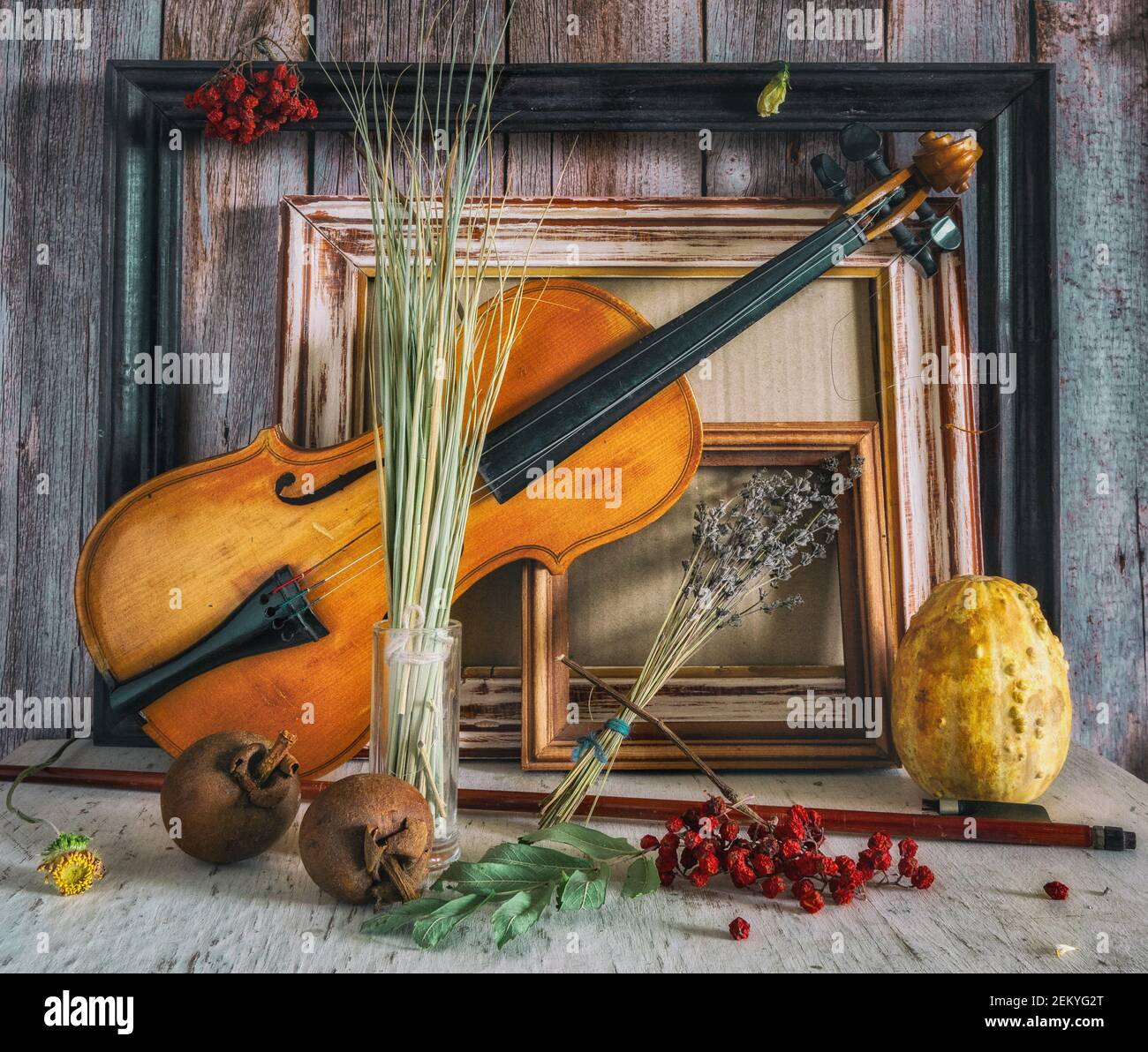 Still life with old things. Violin with torn strings. Shabby wooden frames. Dried plants. Vintage. Retro. Stock Photo