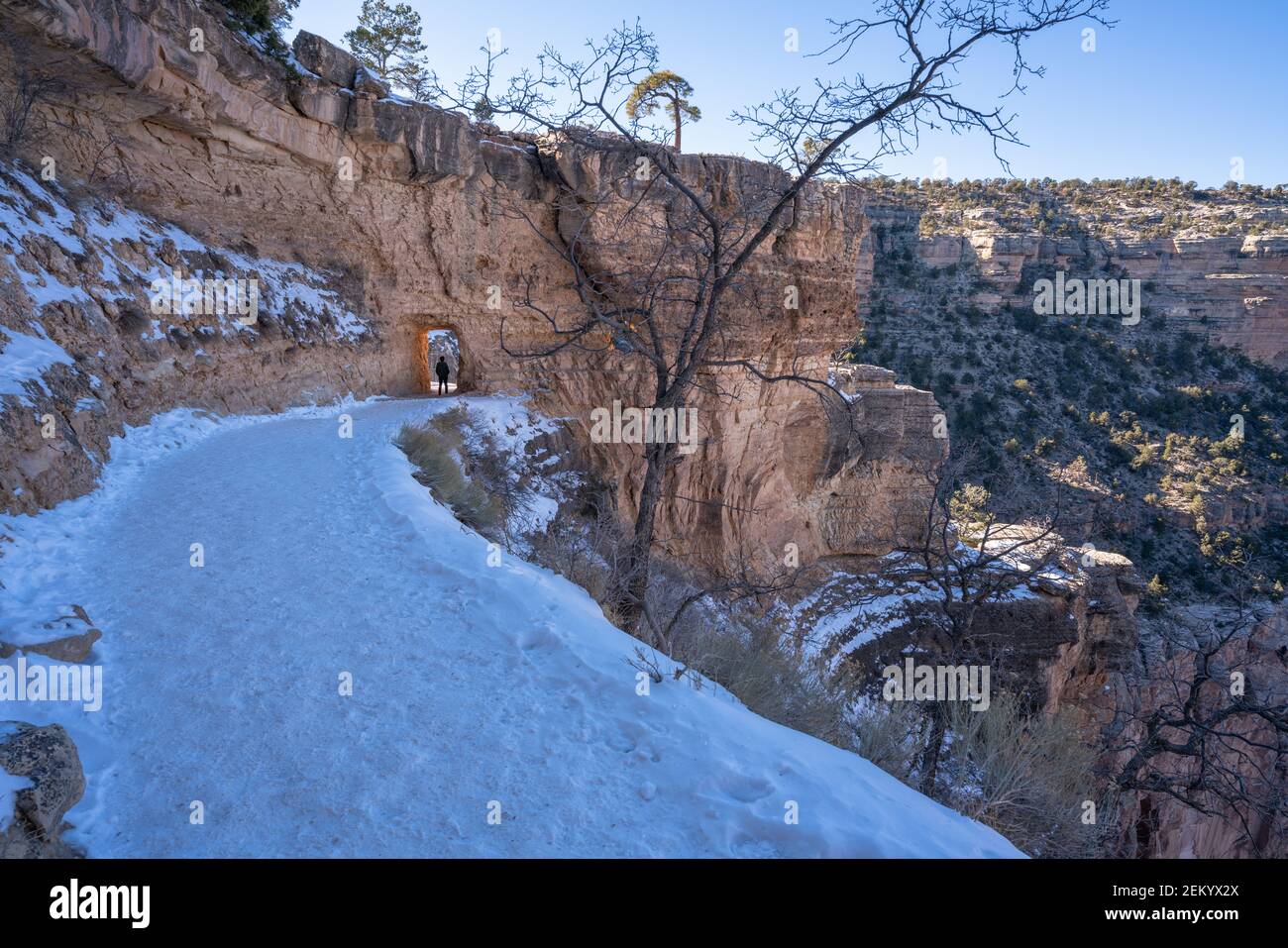 Snowy Grand Canyon Stock Photo - Alamy