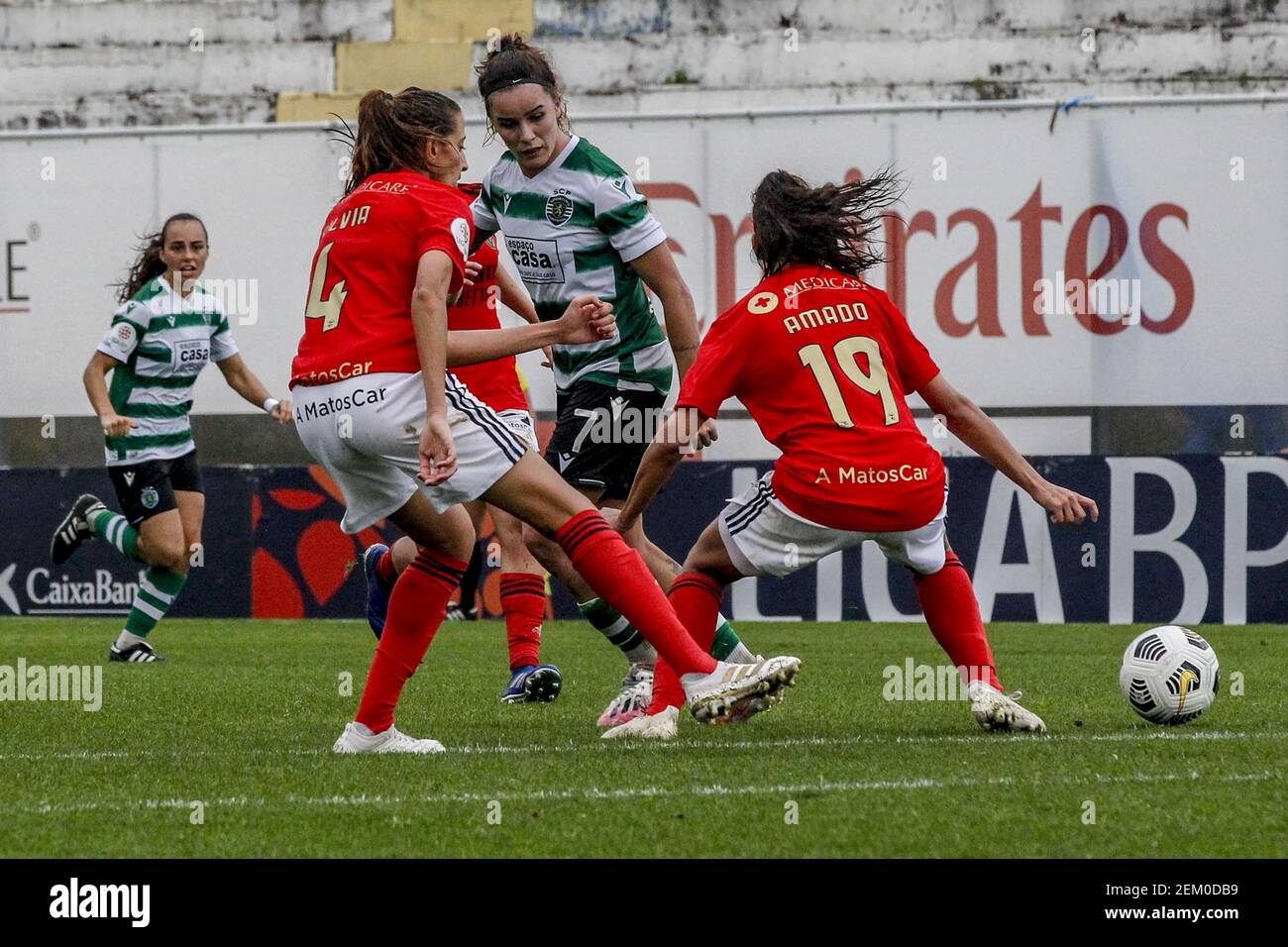 Lisbon, 11/14/2020 This morning Sport Lisboa e Benfica hosted Sporting Clube de Portugal at