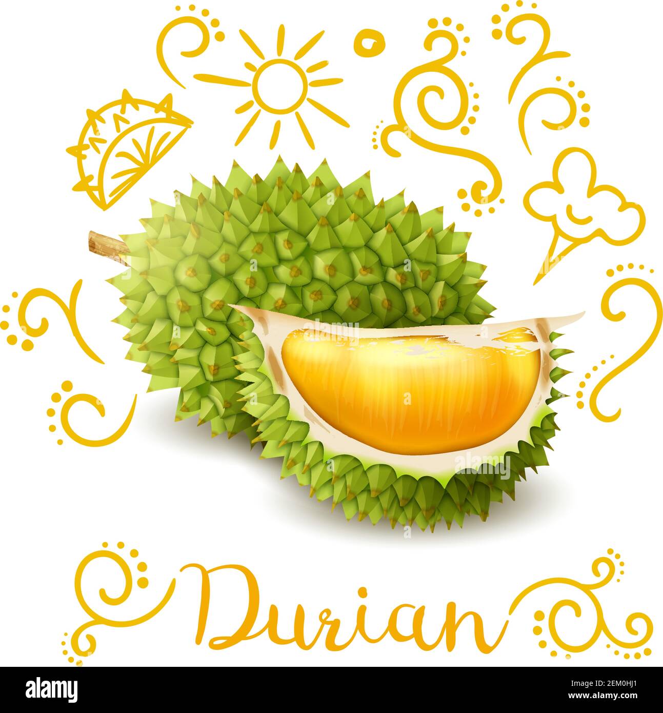Exotic tropical fruit durian with yellow doodles, composition on white ...