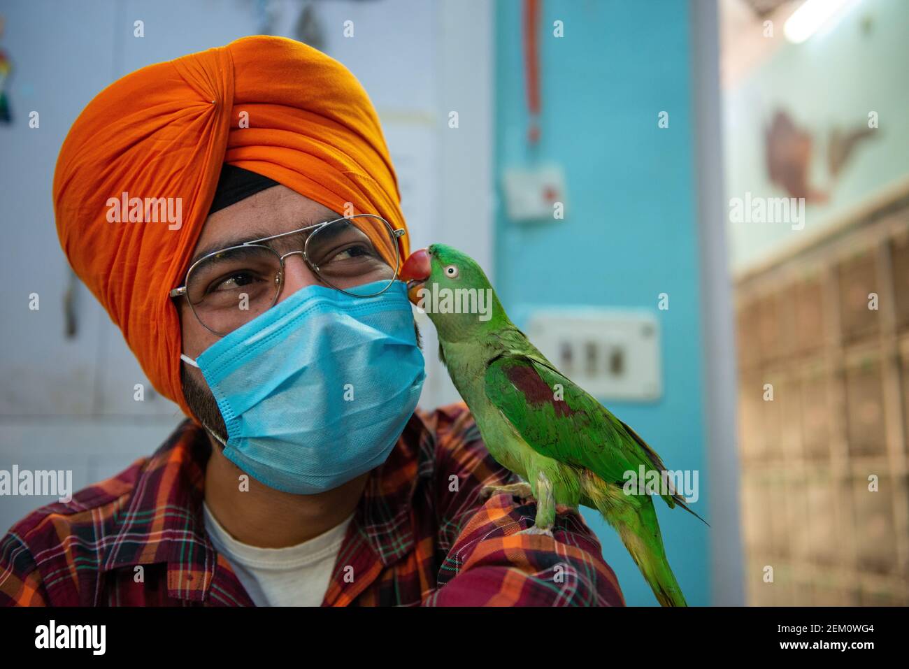 sick parrot treatment
