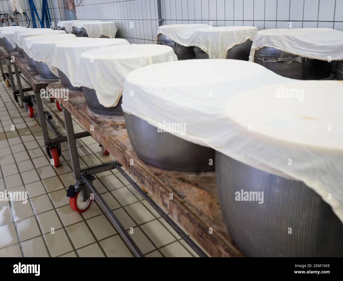 Parmigiano Reggiano cheese making facility Stock Photo Alamy