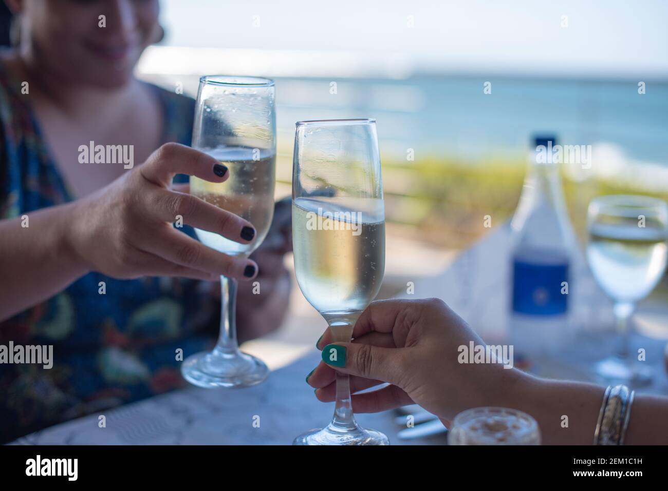 Woman toasting champagne during a celebration Stock Photo Alamy
