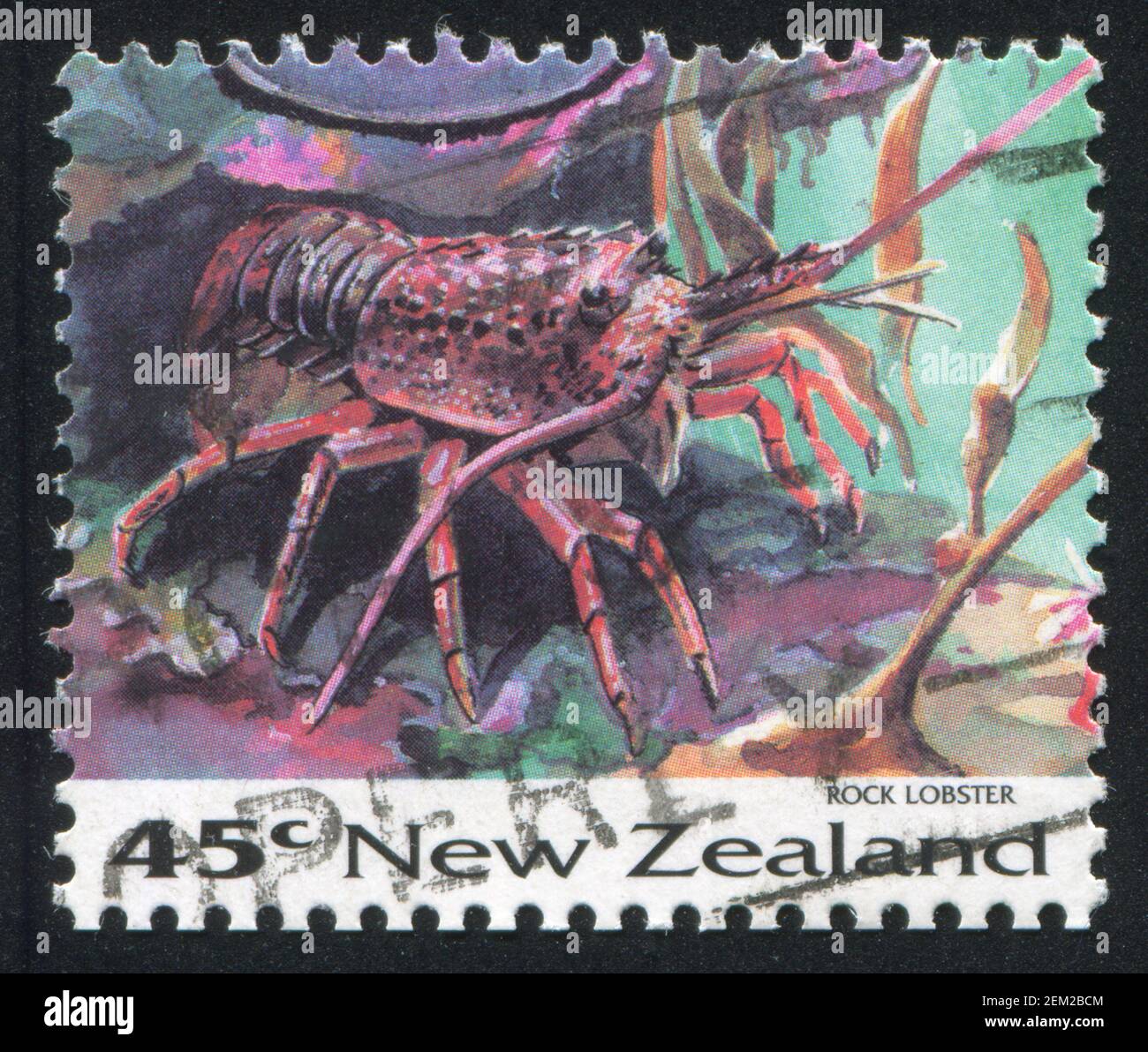 NEW ZEALAND - CIRCA 1993: stamp printed by New Zealand, shows Rock lobster, circa 1993 Stock Photo