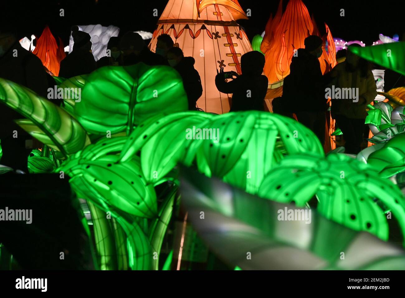 People walk past displays of crafted lights in the shape of plants and