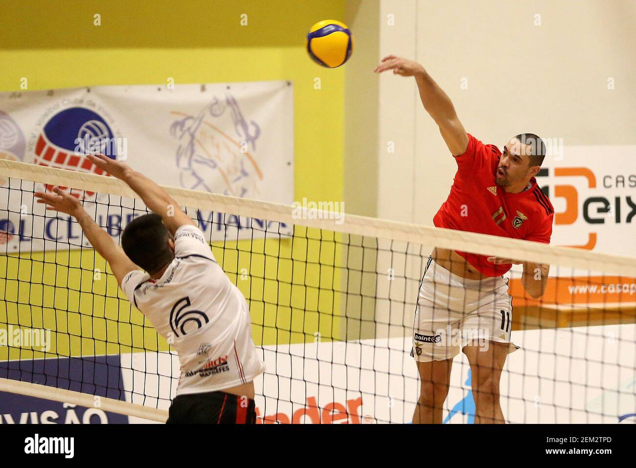 Viana do Castelo, 11/30/2020 - The Voleibol Clube Viana played this  afternoon against Sport Lisboa e Benfica in the 10th round of the National  Volleyball Championship 2020/2021. The game was played at