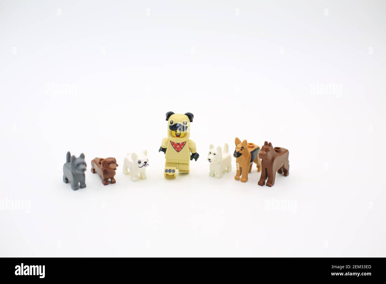 lego dog leader Stock Photo - Alamy
