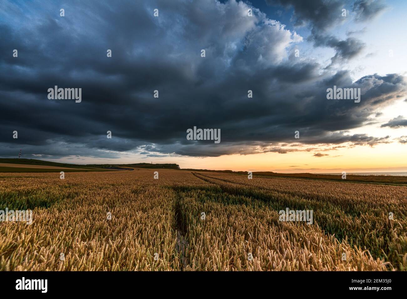 Coucher de soleil au dessus d'un champ de blé, France, Hauts de France, Sangatte Stock Photo