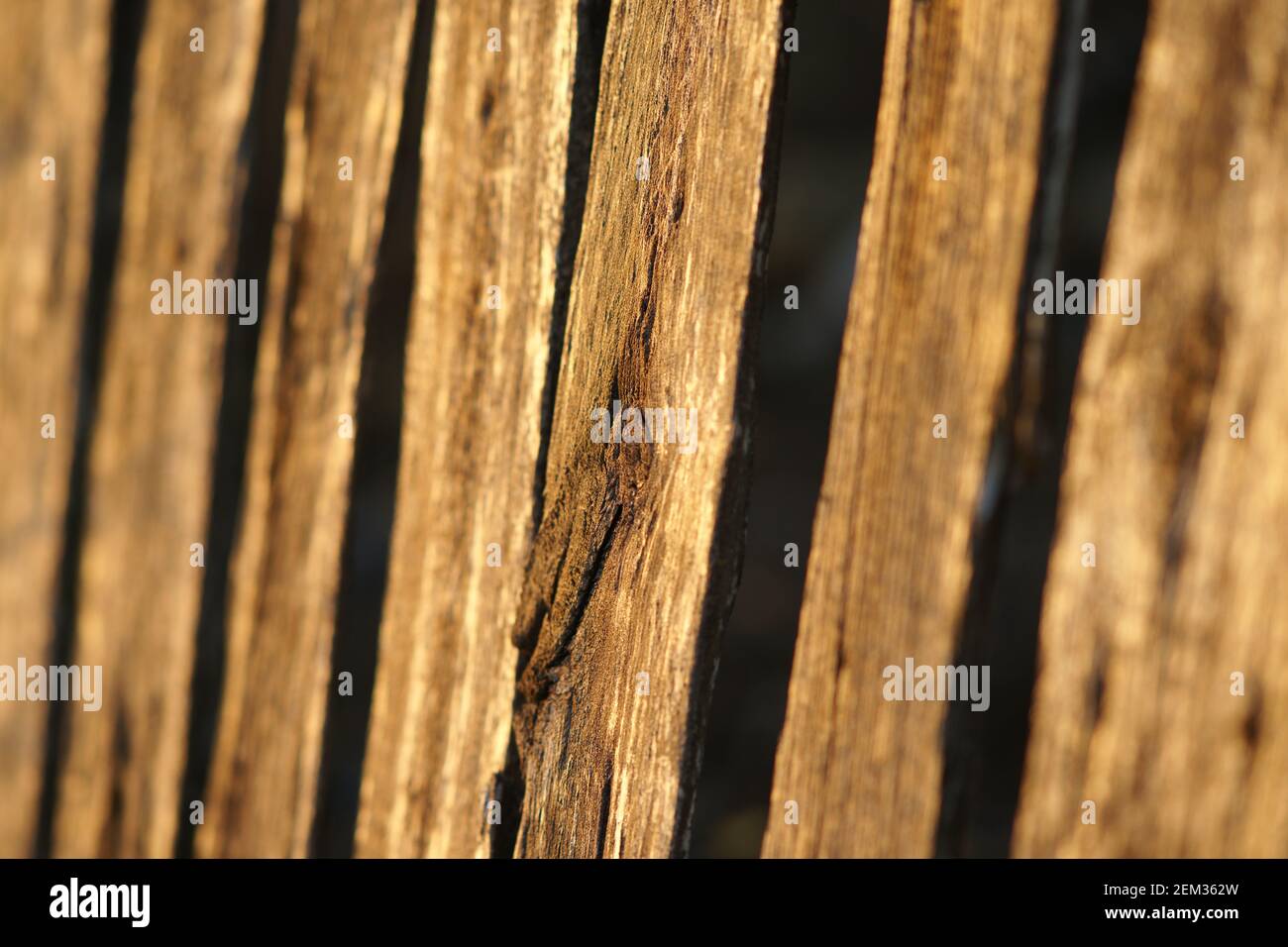 Abandoned old picket fence in rural garden Stock Photo - Alamy