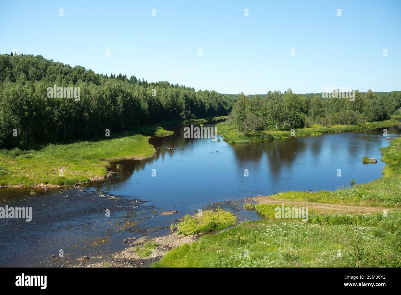 View of the forest and river in summer in the North Russia Stock Photo ...