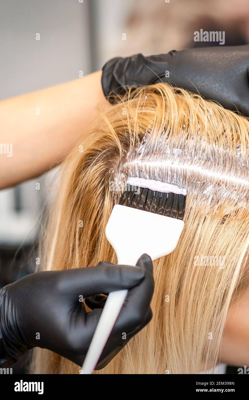 The hairdresser dyeing blonde hair roots with a brush for a young woman