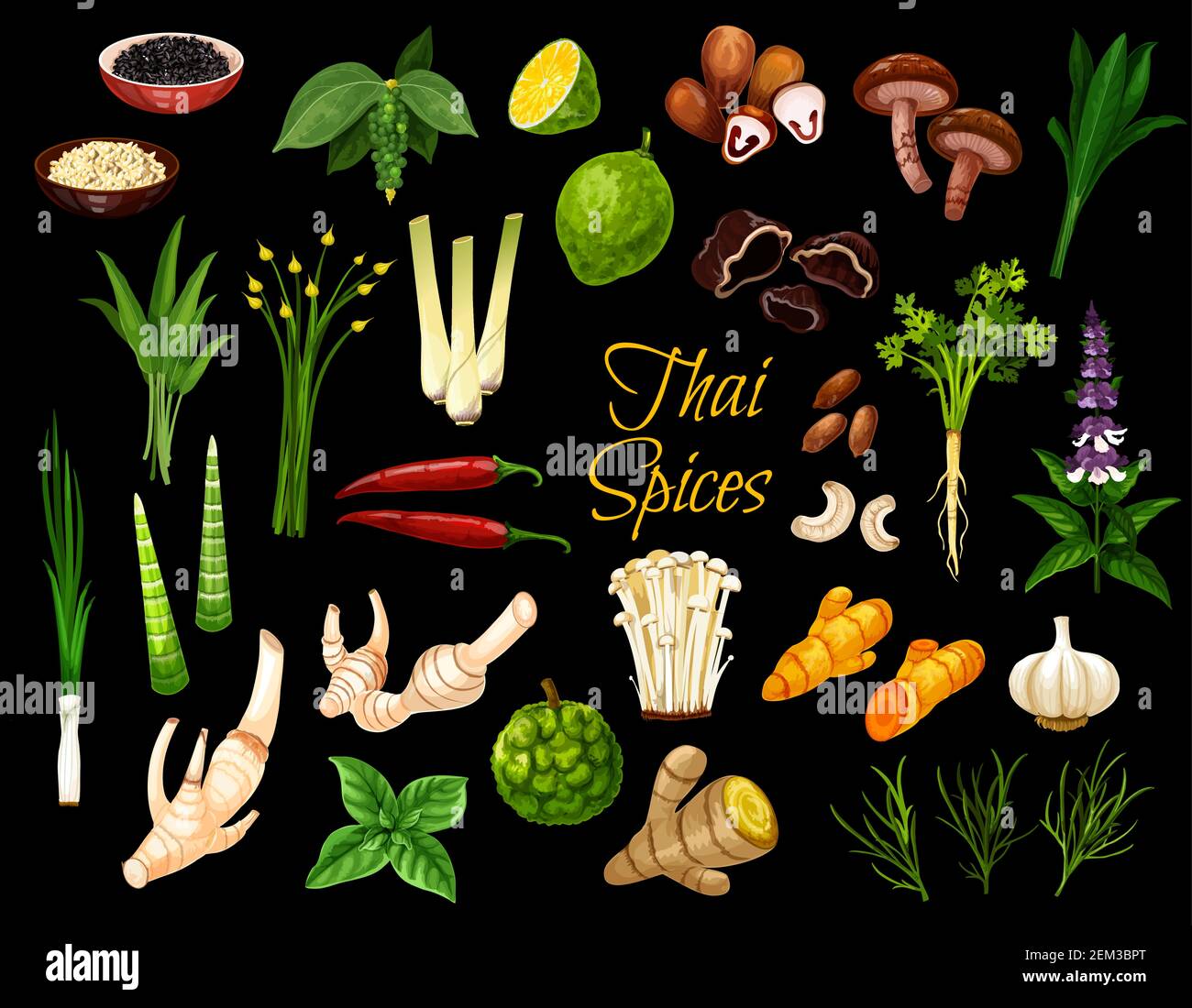 Cooking spices, Thai cuisine herbs and seasonings. Vector Thailand